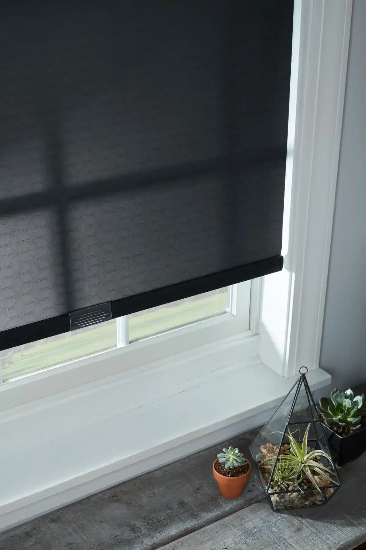 Charcoal roller shade on white window frame with potted succulents on sill in Venice, FL