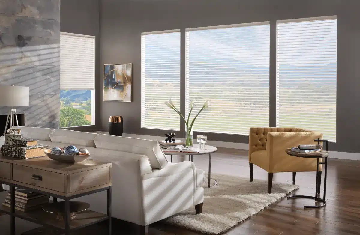 Modern living room with large solar shades filtering light from expansive windows overlooking a valley landscape in Venice, F
