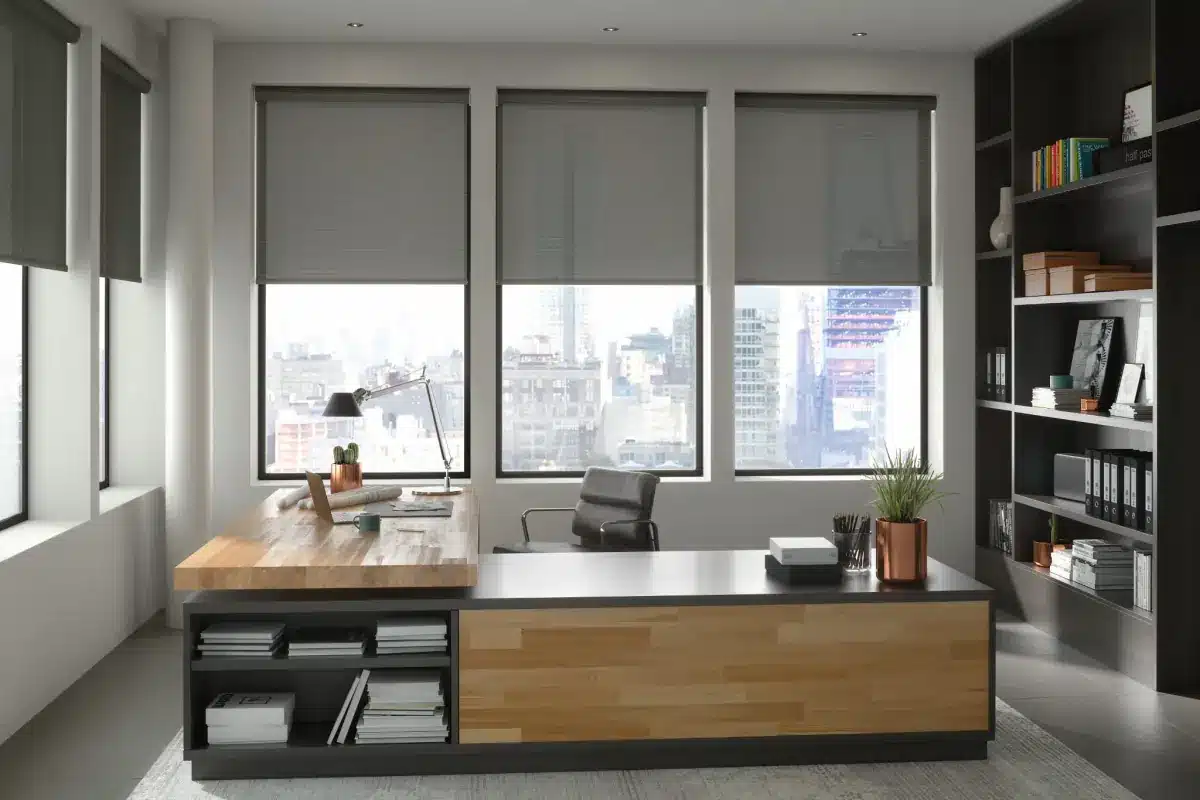 Solar shades framing a city view in a Venice, FL home office