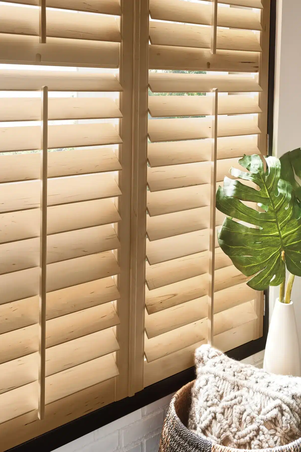 Cream wood plantation shutters with louvers partially open, allowing natural light through a sunlit room with tropical plant